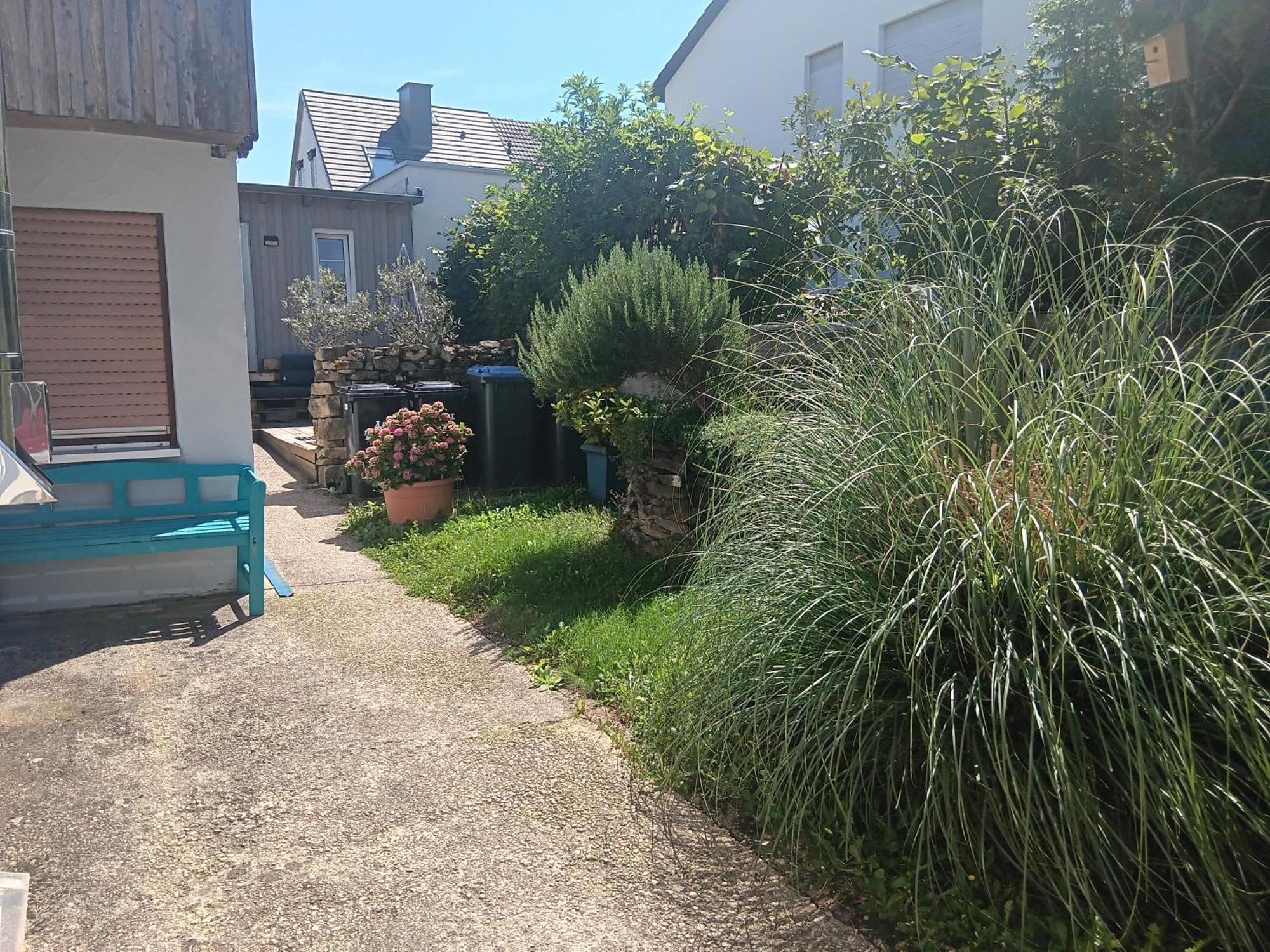 Ferienwohnung Mattheiser Weiher Trier Bagian luar foto